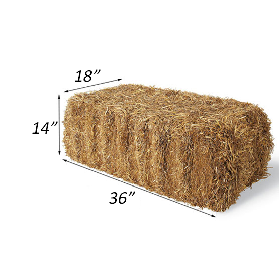 Large Straw Bale