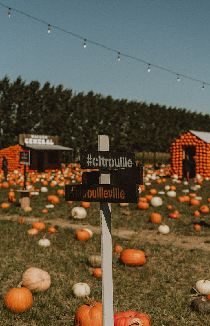 citrouilleville st zotique