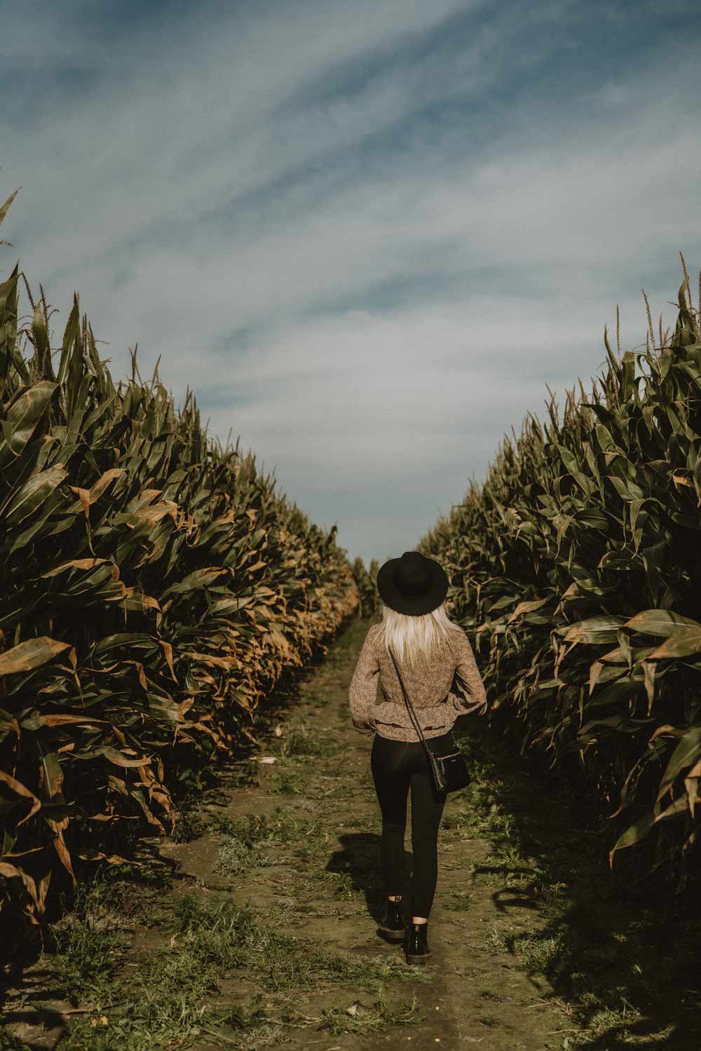 Labyrinthe de mais, Labyrinthe, corn maze, activité en famille