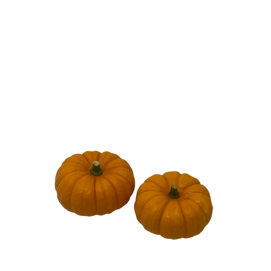 Mini Orange Pumpkin - Munchkin