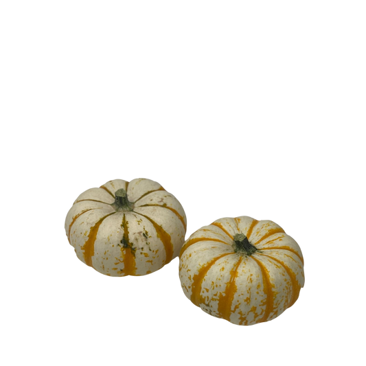 Mini Pumpkin - Lil Pump-Ke-Mon