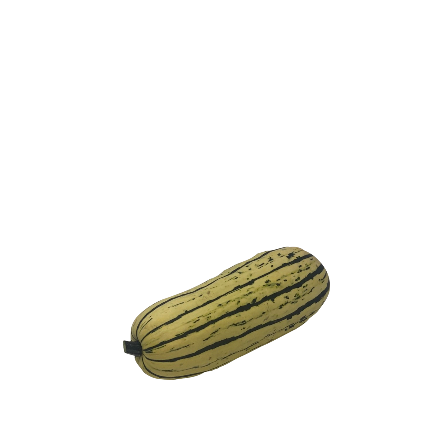 Squash - Delicata